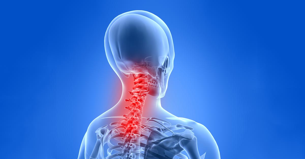 Chiropractic Olive Branch, Hernando, and Horn Lake, Minnesota